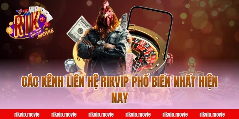 Các Kênh Liên Hệ Rikvip Phổ Biến Nhất Hiện Nay