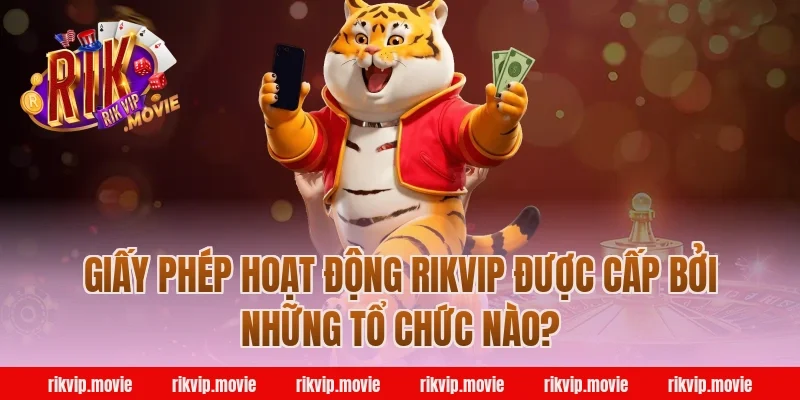 Giấy phép hoạt động RikVip được cấp bởi những tổ chức nào?