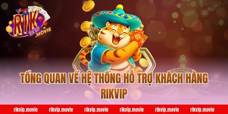 Tổng Quan Về Hệ Thống Hỗ Trợ Khách Hàng Rikvip